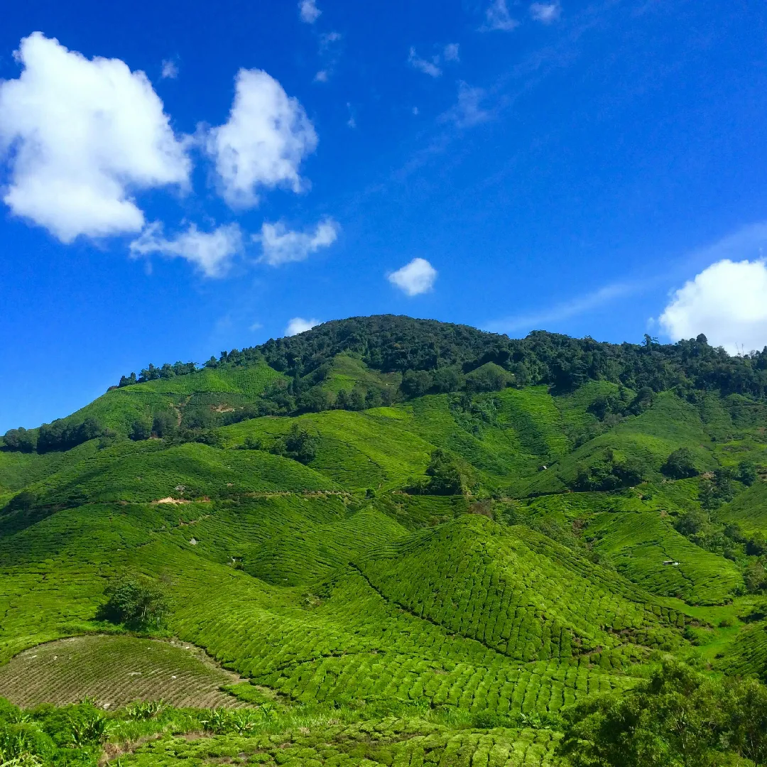 Malaysia Tour Package