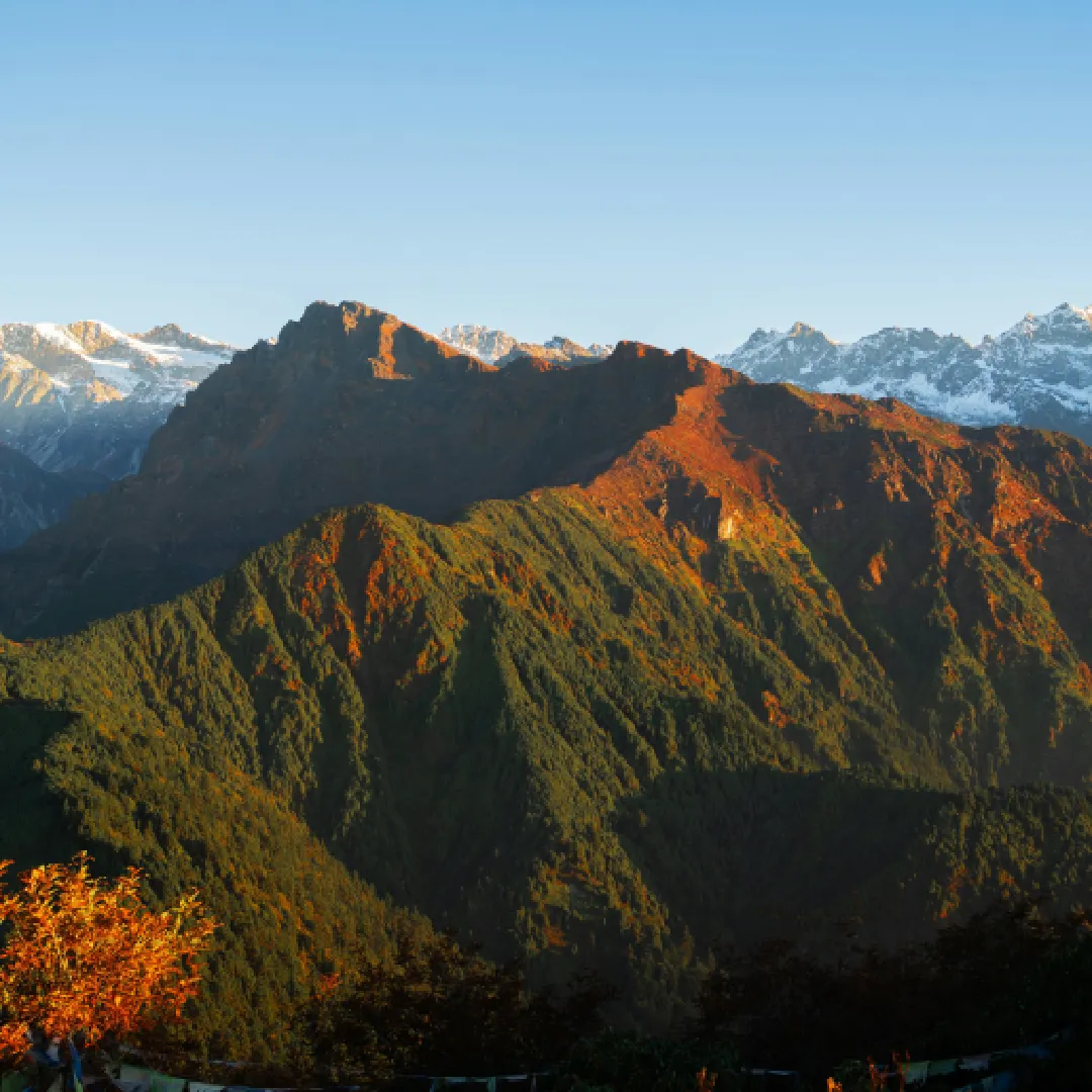 Experience Nepal