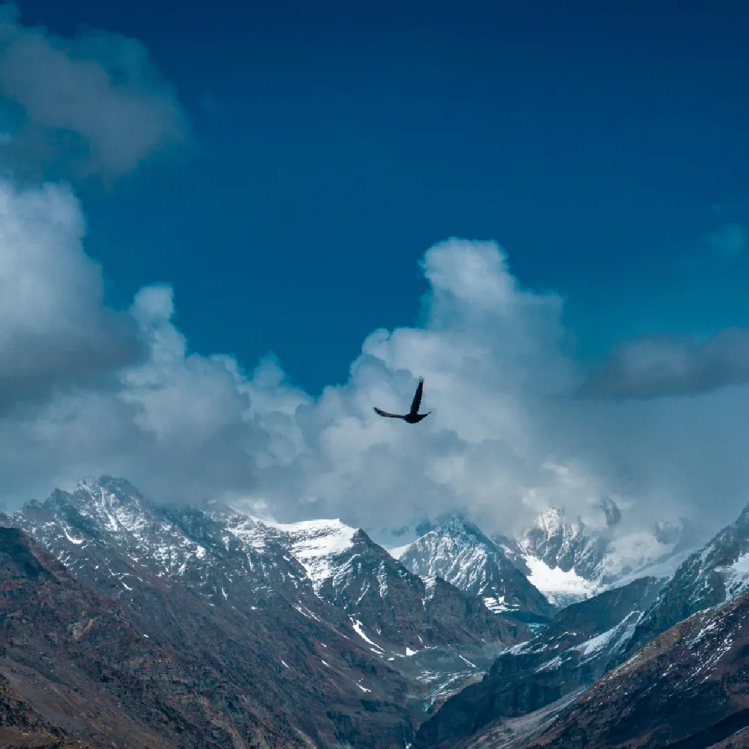 Best Shimla Manali Tour