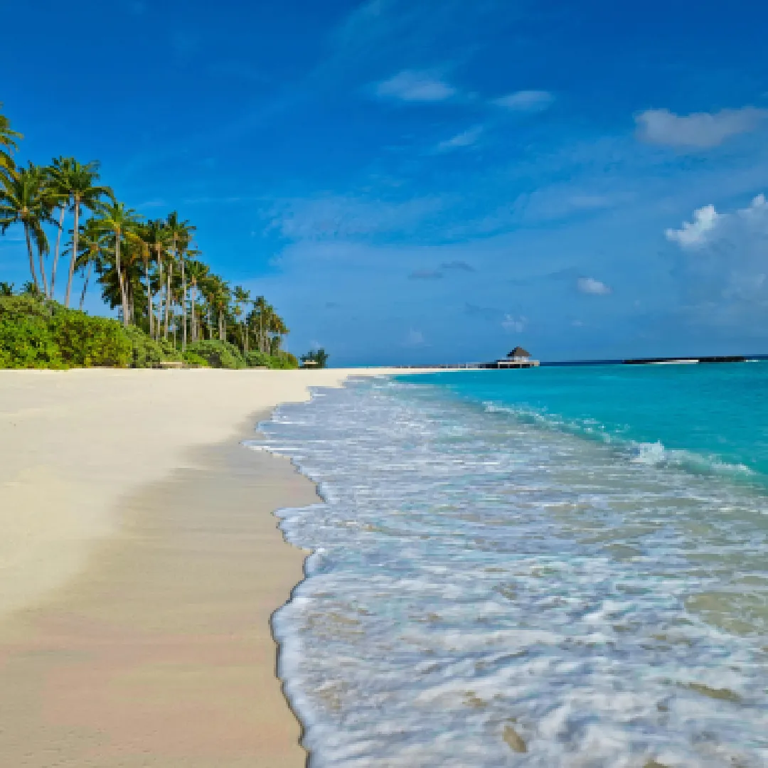 Luxury Escape at Cocoon Maldives