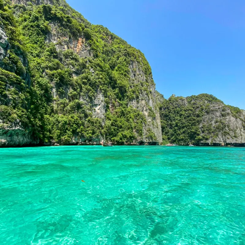 Thailand Delight