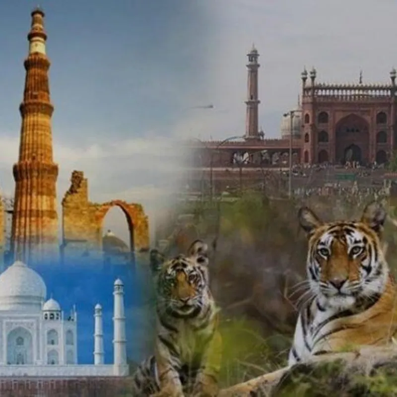 Golden Triangle with Wildlife Trip
