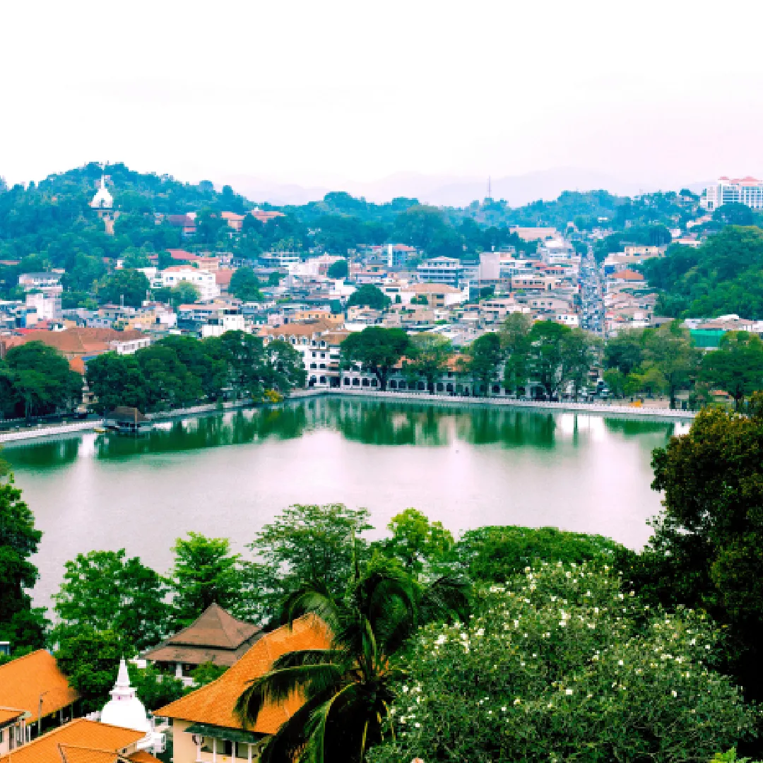 Dziner Sri Lanka Package