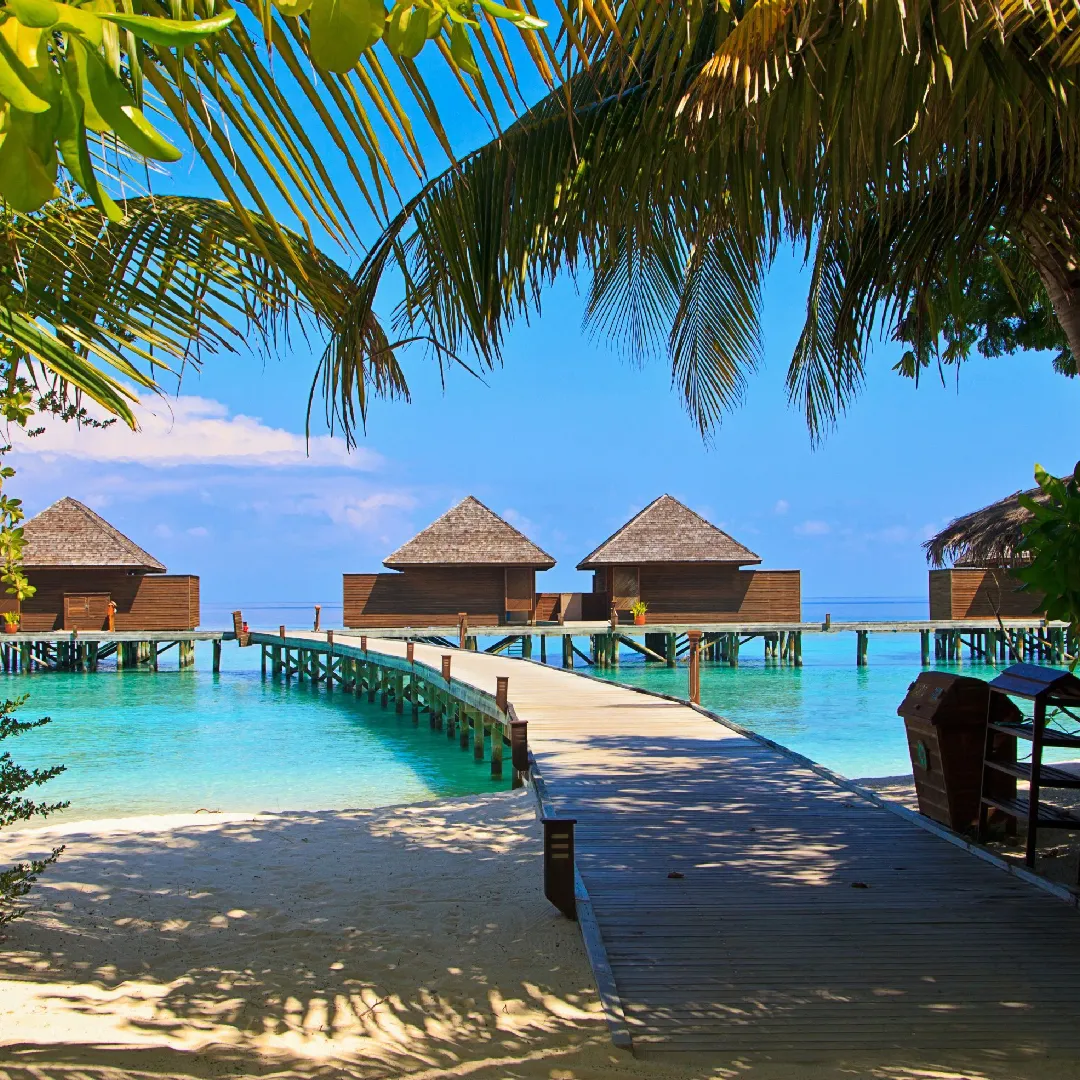 Fascinating Andaman Havelock Island Package
