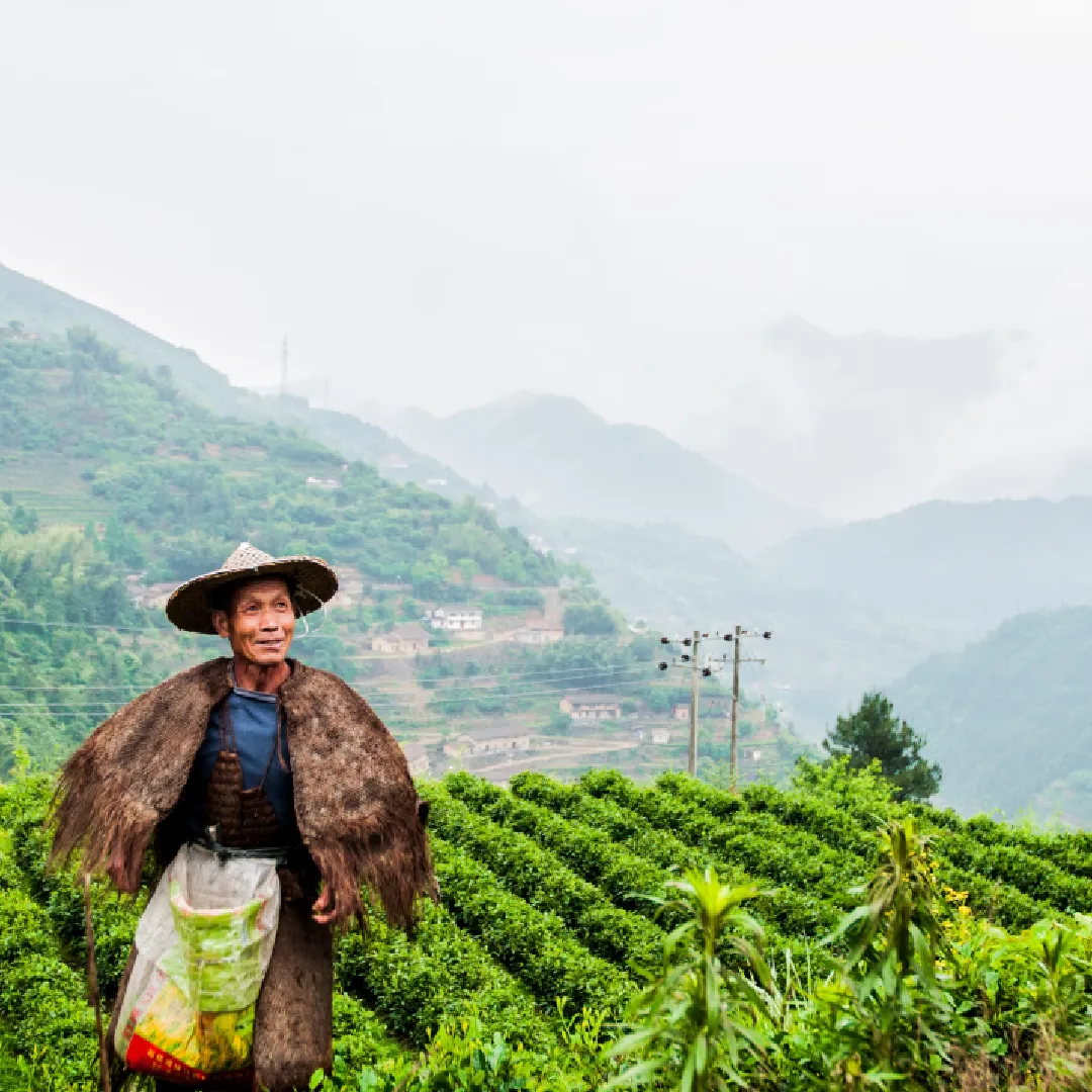 Amazing Gangtok Darjeeling Tour