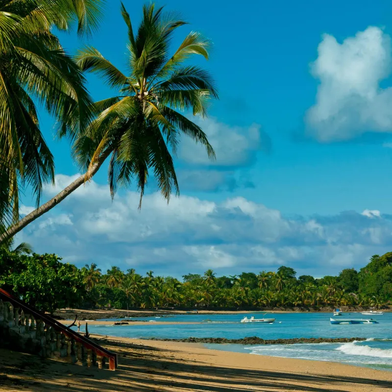 Amazing Madagascar