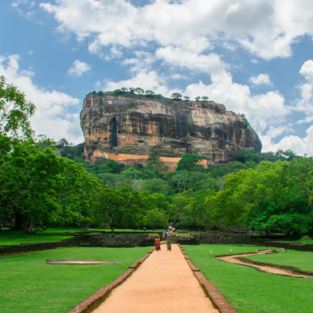 Dziner Sri Lanka Package