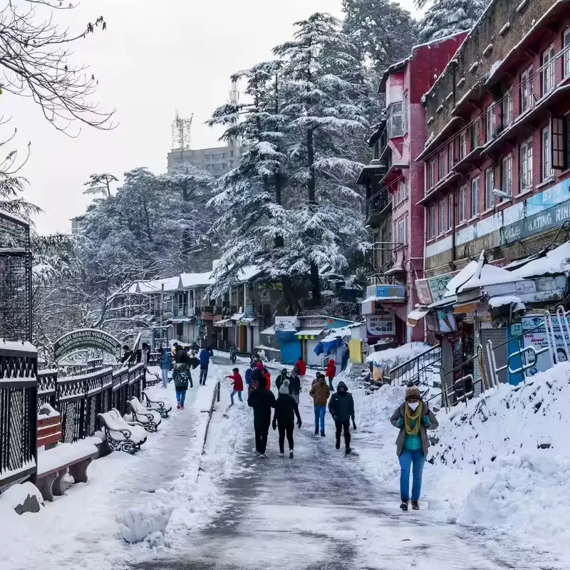 Shimla Tour