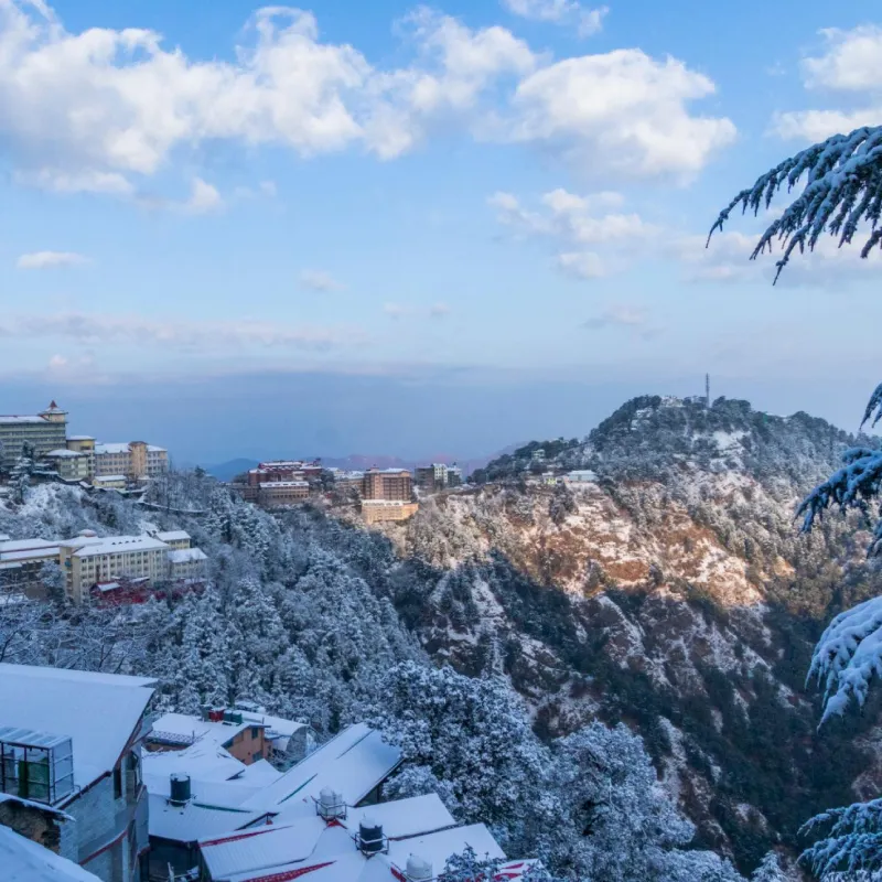 Best Shimla Manali Tour