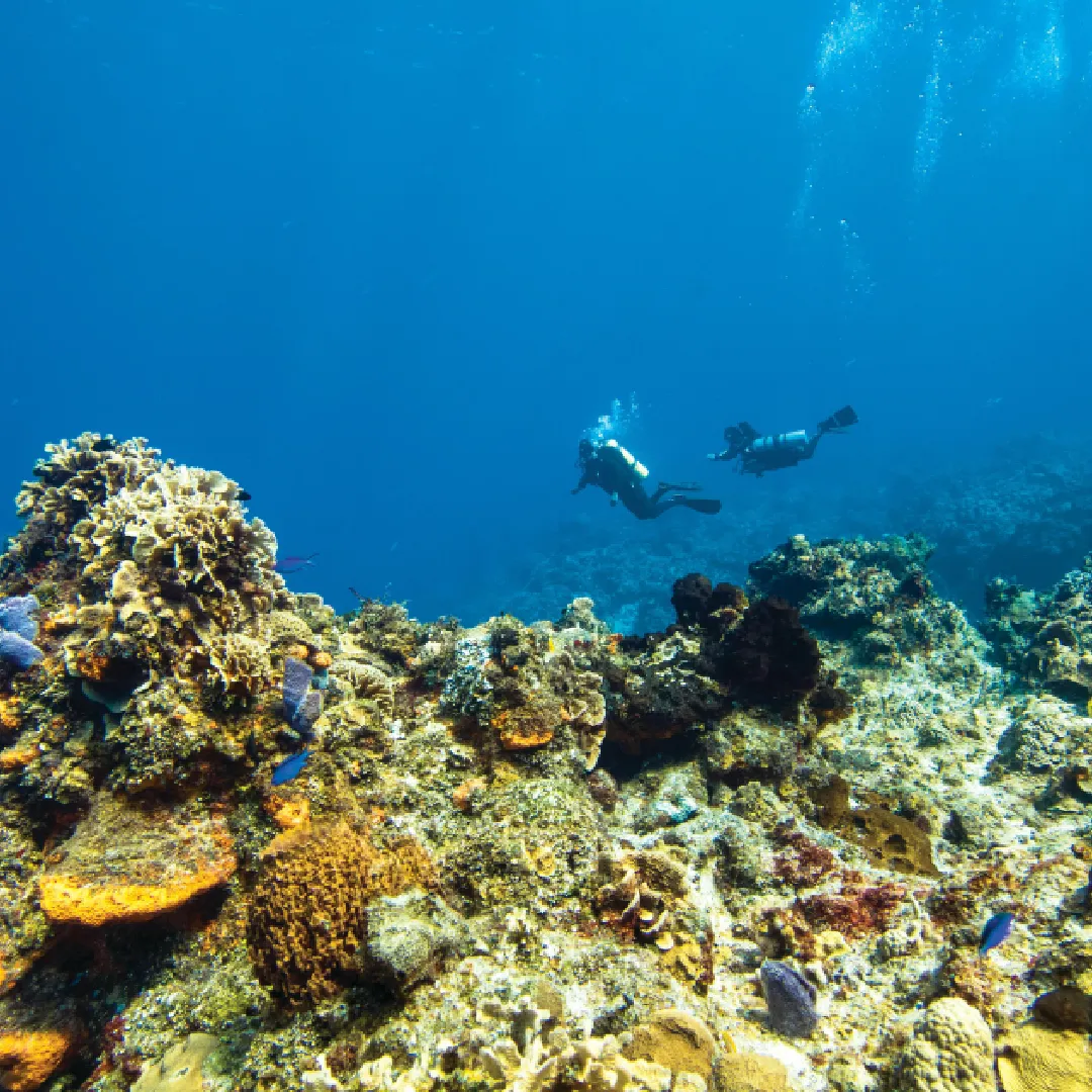 Maldives Tour Packages