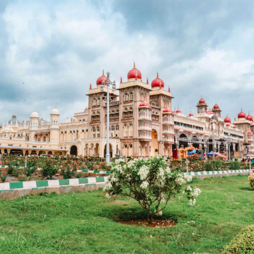 Holiday Family Packages