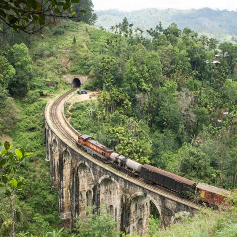 Best of Sri Lanka Holiday Package