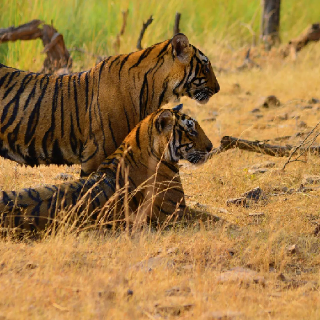 Top Destination Tour Package