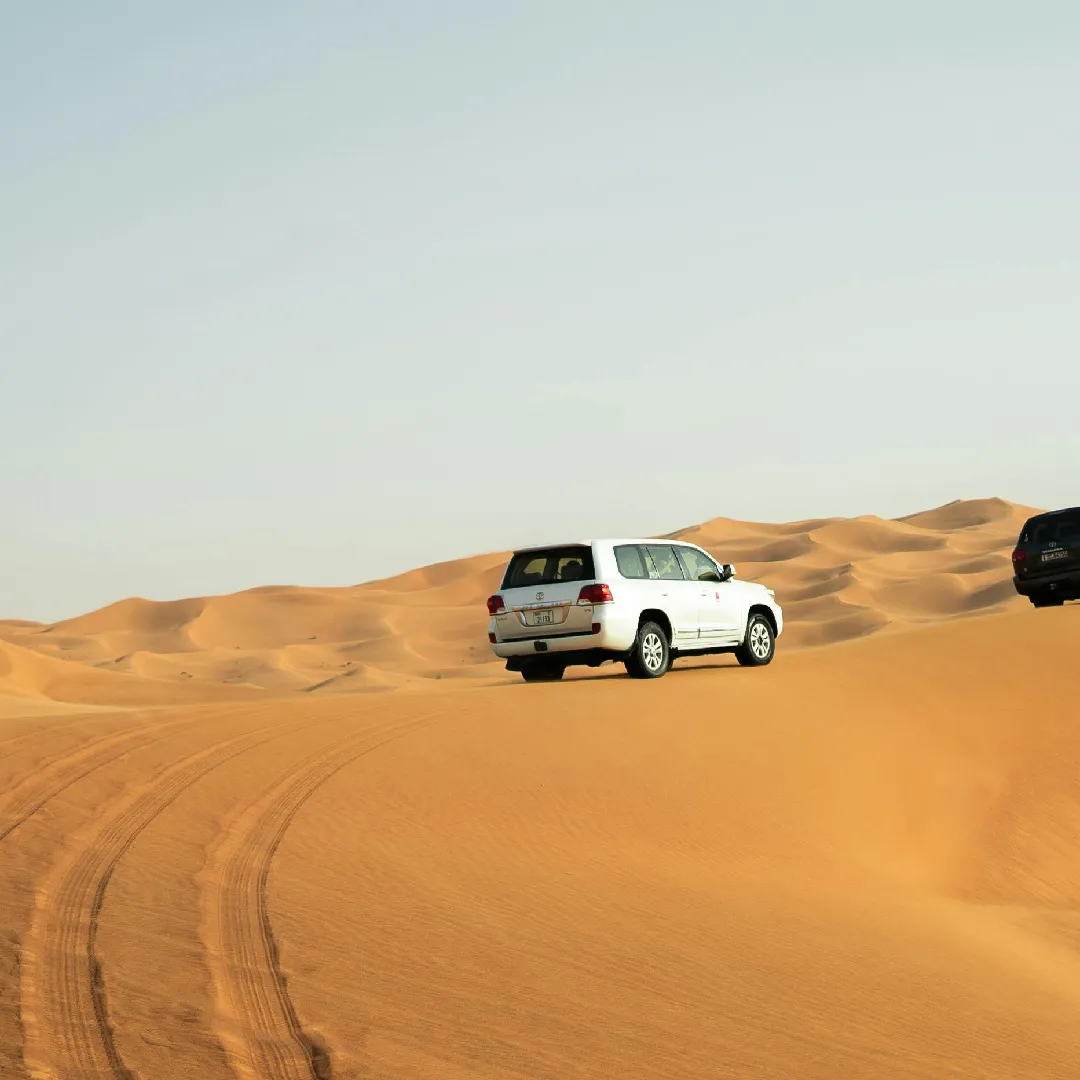 Amazing Dubai