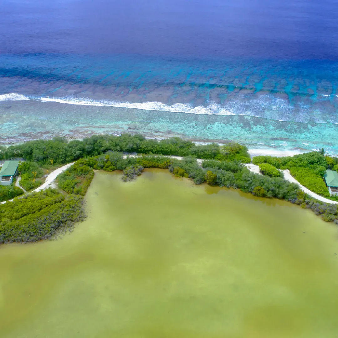 Maldives