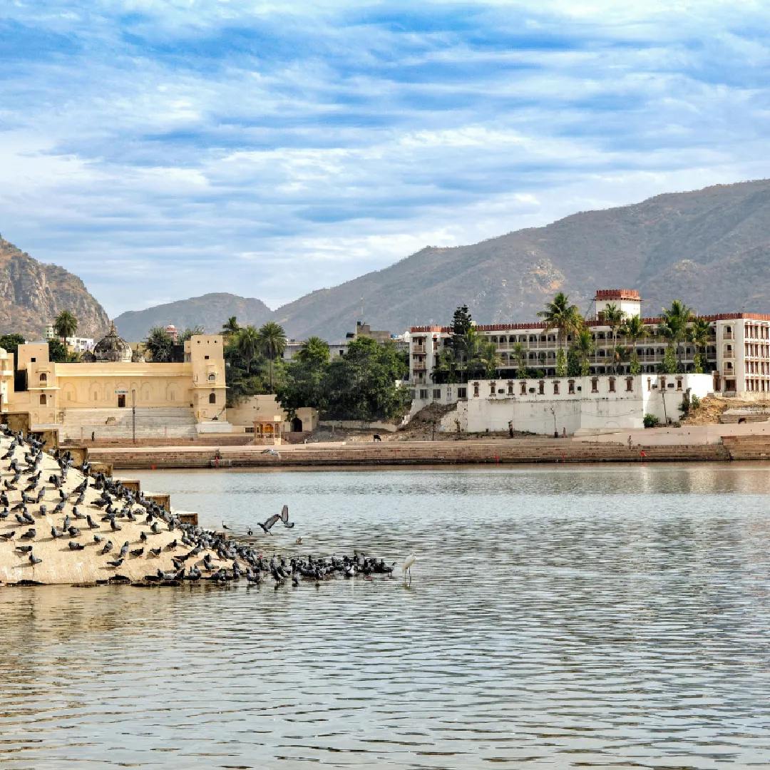 Golden Triangle with Pushkar