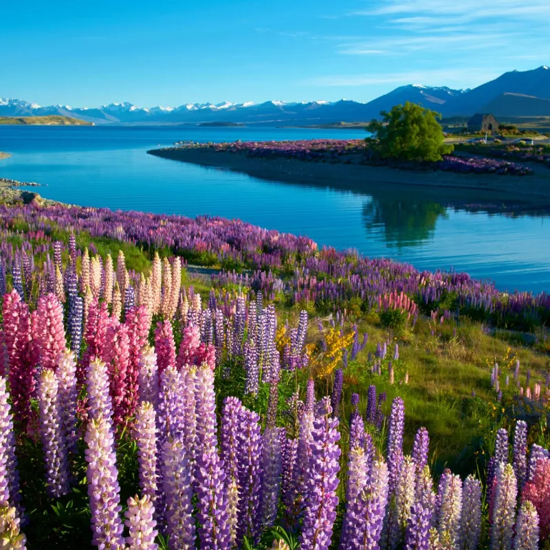 Splendid Lakes Glaciers