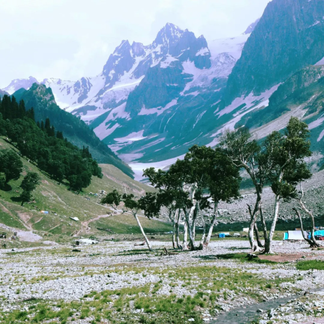 Kashmir family tour package