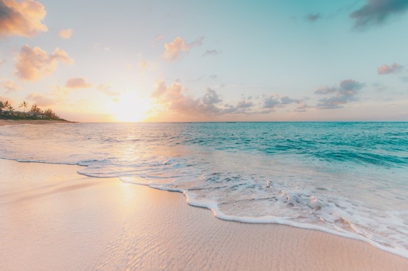 Holiday Family Packages